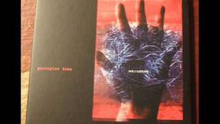 Porcupine Tree - Where we would be (Live in Warszawa)