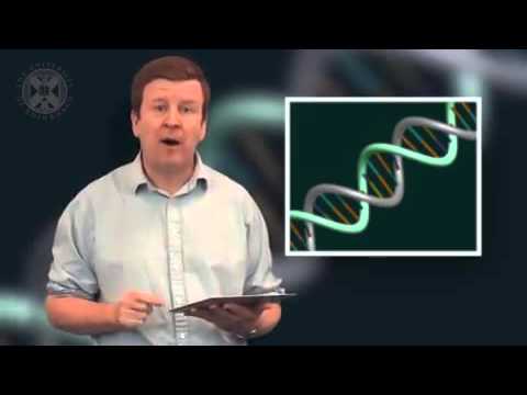 1.5 - Coursera: Structure of LIfe: Cells