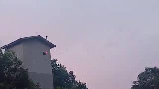 Download lagu SP.NAGA PUTIH ORIGINAL mp3 Download lagu SP.NAGA PUTIH ORIGINAL mp3