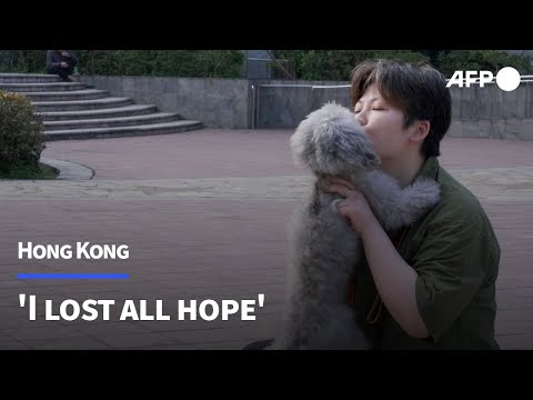 Video | 'I lost all hope': Hong Kong dog owner grateful after rescue from fire | AFP
