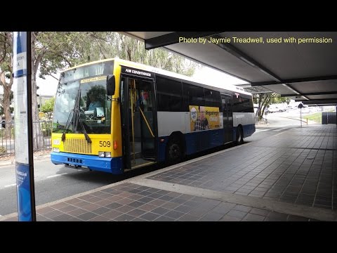 Brisbane Transport Bus 509 - Volvo B10M Mk 4 (ZF) (Austral-Denning) - Route 102 Outbound