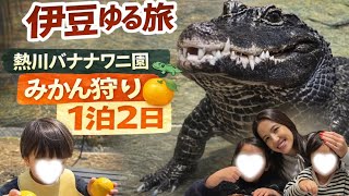 【伊豆ゆる旅１泊2日】バナナワニ園🐊湯河原温泉♨️みかん狩り🍊ちぼりoutlet🍪ゆる1泊旅