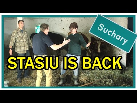STASIU IS BACK || Suchary #6 ft. @KabaretMalina