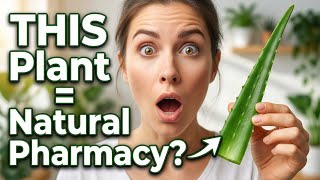 9 Healing Houseplants for Immune Support & Reduced Inflammation