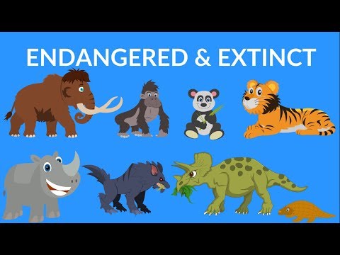 , title : 'Endangered and Extinct Animals | Video for Kids | Rare Extinct Animals Video'