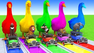 Download lagu 🕋Makkah Live TV | مكة المكرمة بث مباشر | قناة القرآن الكريم | Live Masjid Al Haram | Makkah Today HD mp3