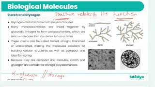Cambridge International A Levels - Biology [9700] Biological Molecules -  Carbohydrates and Lipids