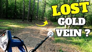Search for the lost gold vein with our new secret weapon metal detector!