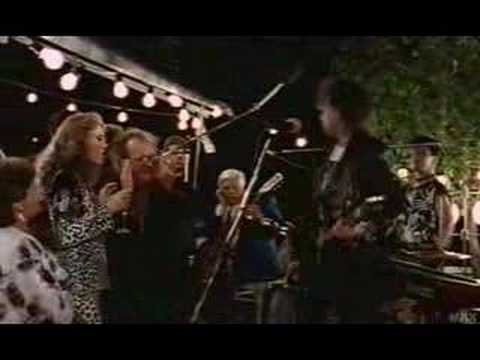 Abstürzende Brieftauben - Paderborn