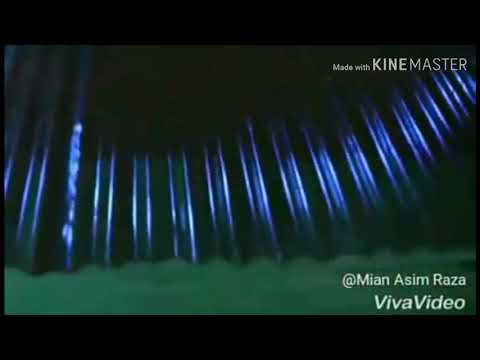 download lagu mp3 mp4 Tarzan Ringtone Free, download lagu Tarzan Ringtone Free gratis, unduh video klip Tarzan Ringtone Free