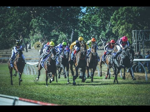 2019 MDRC  Mansfield Trpy3 Hcp