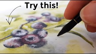 5 reasons NO ONE uses watercolor pencils