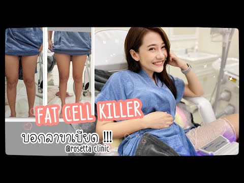 เมโสแฟต ยี่ห้อไหนดี