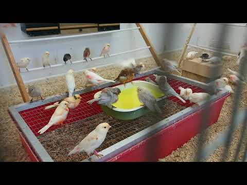 Bath time and fresh cucumber