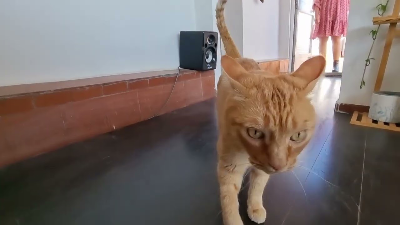 Ático en Venta en Madrid