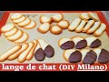 Langue de Chat (Cat's Tongue Cookies), aka Copycat Milano Cookies!