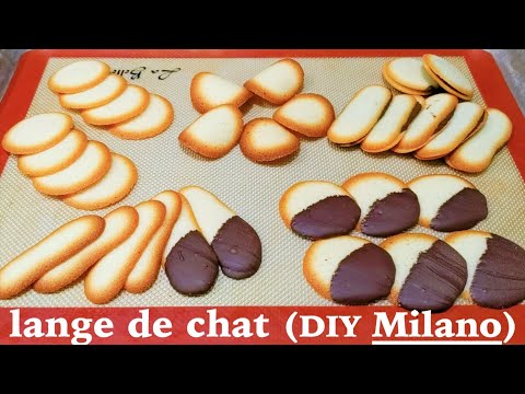 Langue de Chat (Cat's Tongue Cookies), aka Copycat Milano Cookies!