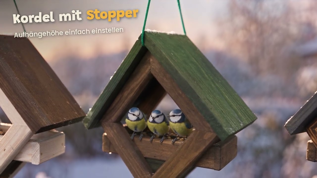 Videovorschau
