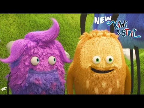 Brand New Hairstyle! 😅NEW EPISODES Season 2 | KIWI & STRIT Official