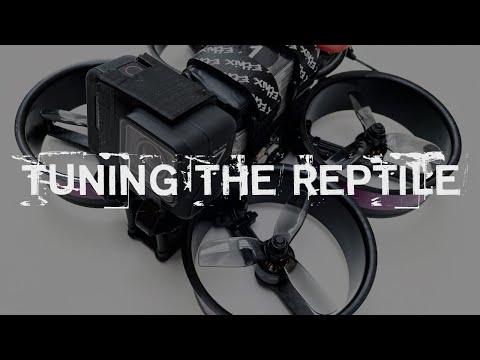FLIGHT LOG - DAY 130 / TUNING THE REPTILE 3”