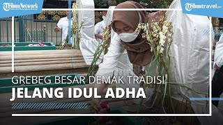 Menilik Grebeg Besar Demak, Tradisi Jelang Idul Adha di Masjid Agung Demak