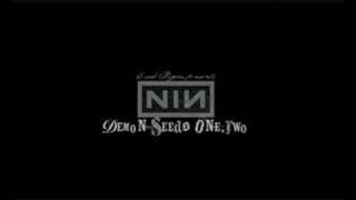 Nine Inch Nails - Demon Seeds 1.2 (Evad Reyem X)