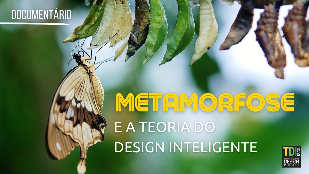 Metamorfose e a Teoria do Design Inteligente ( Documentário DUBLADO )