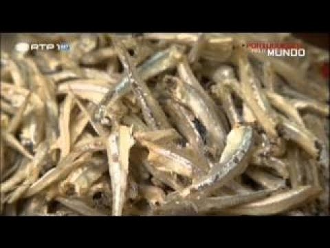 Portugueses Pelo Mundo - Kuala Lumpur, Malásia