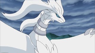 Download the video "UK: Pikachu and Reshiram! | Pokémon: BW Adventures in Unova and Beyond | Official Clip"