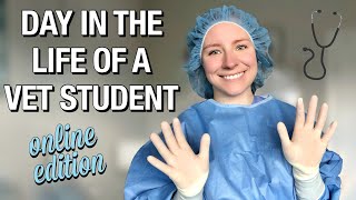 DAY IN THE LIFE OF A VET STUDENT: practicing my surgical skills at home!