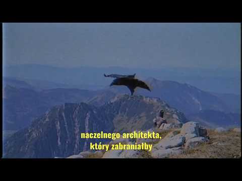 Maciej Musiałowski x OLŚNIENIE.EU: O swojej wyśnionej Polsce #4