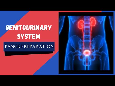 Genitourinary System: PANCE Preparation