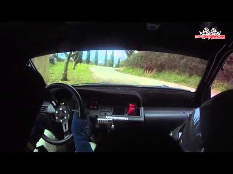 Rallyday del Carnevale 2015  Collodi - Collodi  Renault Clio A/7