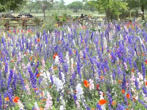 download lagu mp3 mp4 Quilting Songs Lyrics, download lagu Quilting Songs Lyrics gratis, unduh video klip Quilting Songs Lyrics