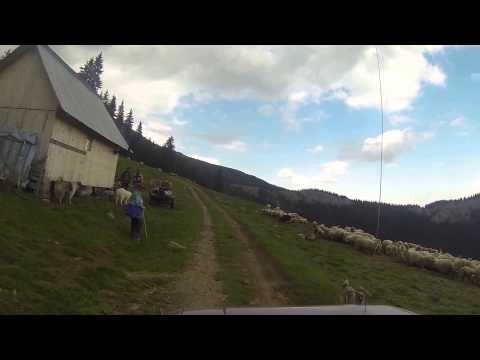 Provocare în Munții Apuseni Partea a XII a