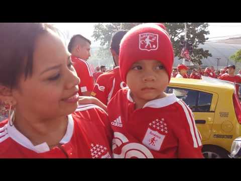 "America de Cali vs Deportes Quindio, Ascenso 2016" Barra: Baron Rojo Sur • Club: América de Cáli
