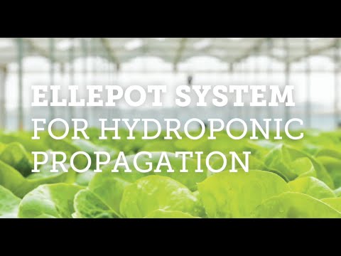 THE ELLEPOT SYSTEM FOR HYDROPONIC PROPAGATION