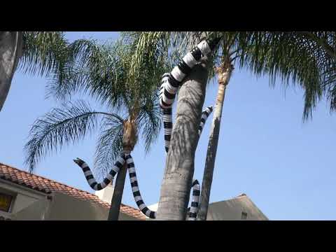 Halloween Haunted House Display Monsters Skulls October 2020 Los Angeles California USA Scary Creepy