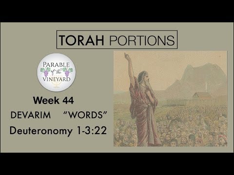 Torah Portions - Week 44 - DEVARIM | דְּבָרִים l “WORDS” - W/ Parable of the Vineyard - Deuteronomy