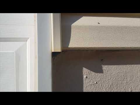 Routine Treatment Uncovers Carpenter Ants in Manalapan, NJ