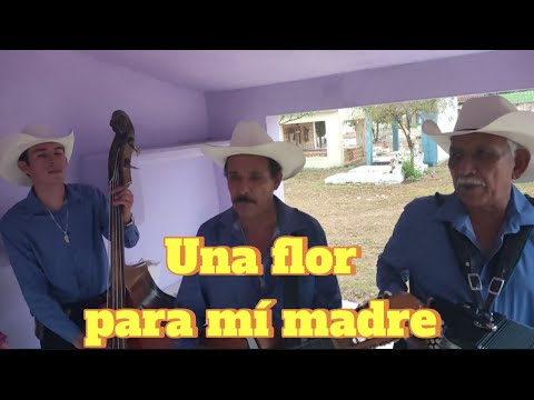 Una flor para mi madre con Berna y Gustavo ❗❗