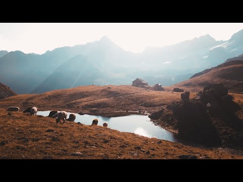 Grialetsch-Hütte 2021