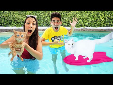 I NOSTRI CUCCIOLI FANNO IL BAGNO IN PISCINA PER LA PRIMA VOLTA! *gatti in acqua*