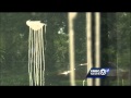 Police Seek Teens Responsible For Paintball Gun Attacks