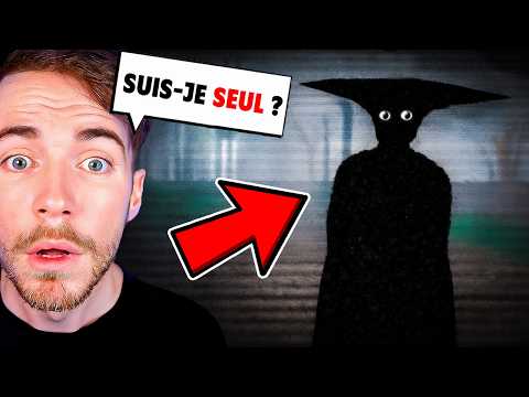 LES SERVEURS PRIVÉS ROBLOX SONT-ILS VRAIMENT HANTÉS…?