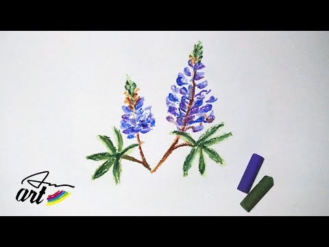 How To Draw Lupine Flowers with Oil Pastels