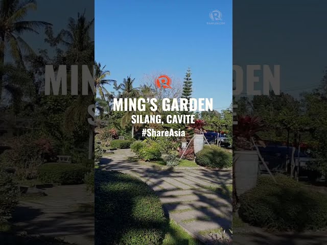 FVR and Ming’s love garden