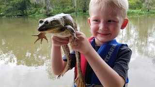 Frog Hunting Catch Clean & Cook! - Frog hunt of a lifetime!