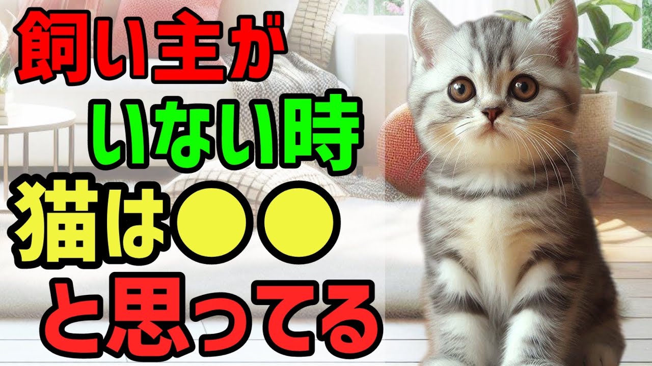 猫は飼い主がいない時、●●と思ってる #保護猫 #熱中症 #子猫 #cat ねこのいる生活 豆知識 雑学