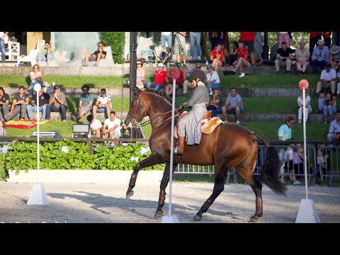 World championship of working equitation- Maneability- Lara e Endiabrado